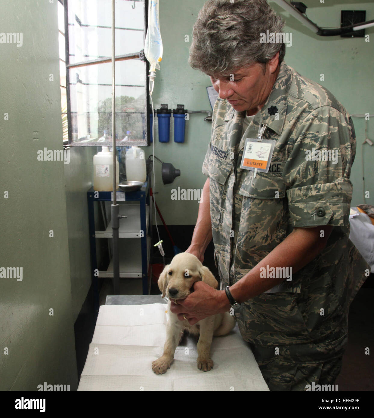 Lt. Col. Tammy Von Busch, lead veterinarian, embarked aboard High Speed Vessel (HSV 2) Swift, holds a puppy while she receives fluids on Base Naval de Callao during HSV-Southern Partnership Station 2012. Von Busch is participating in a subject matter expert exchange regarding military working dogs. The two different militaries are working together at the Callao Naval base as a part of HSV-SPS 12. HSV-SPS is an annual deployment of U.S. Navy ships and assets to the U.S. Southern Command's area of responsibility in the Caribbean, Central and South America. HSV-2 Swift-Southern Partnership Statio Stock Photo
