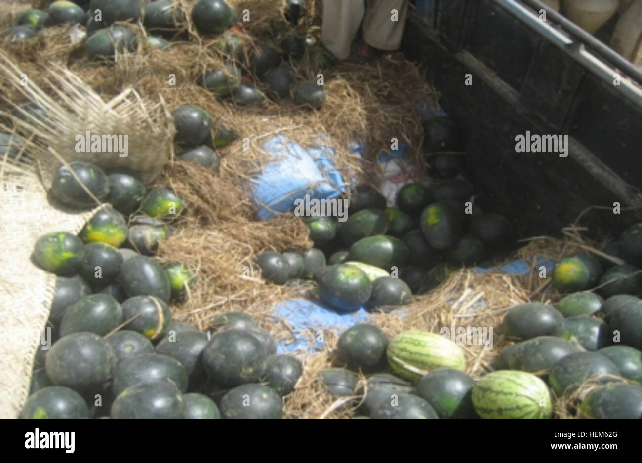 Conceal Drug Hi res Stock Photography And Images Alamy