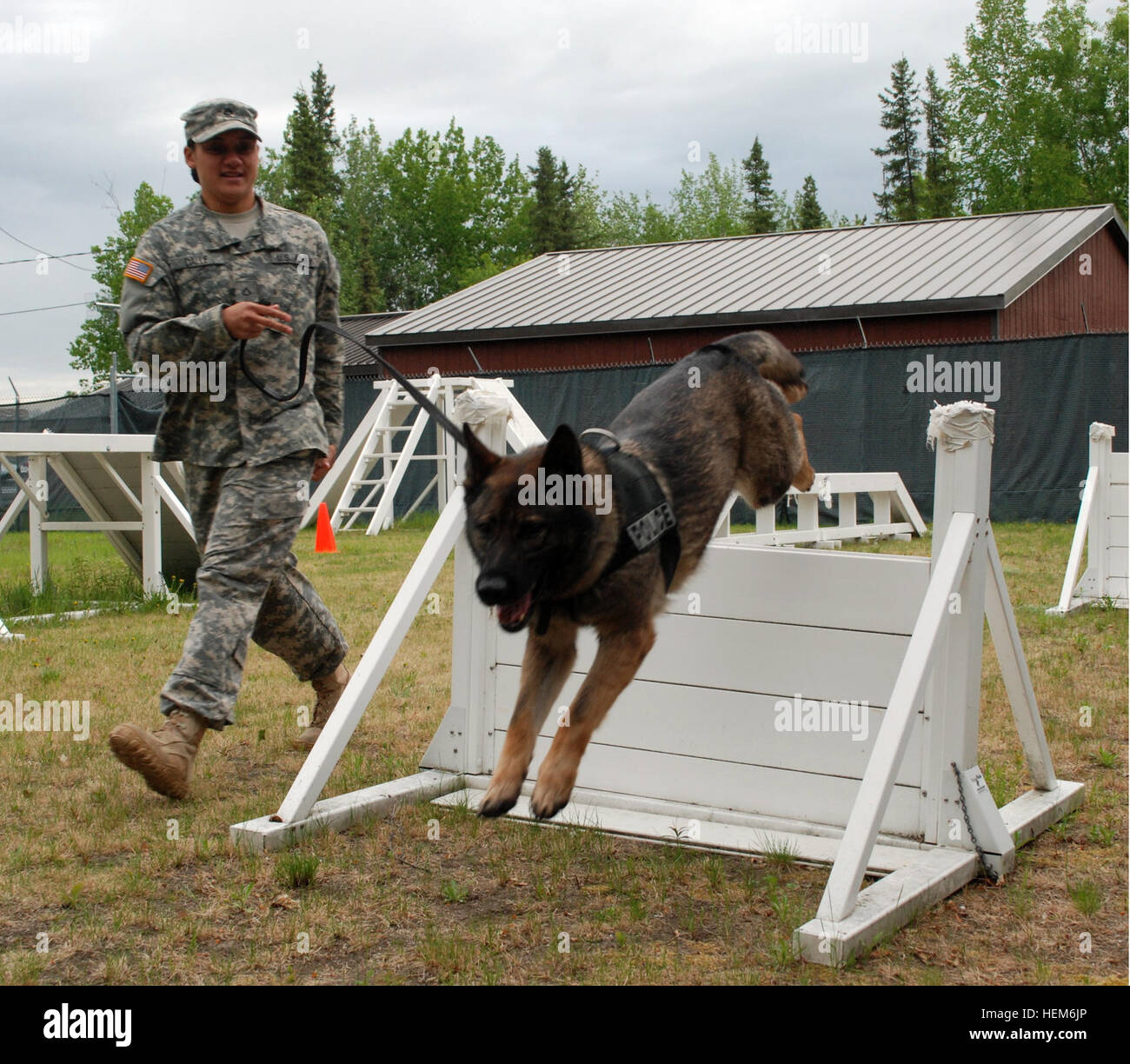 Pfc. Lynnette Dalle, a military working dog handler with the 28th Military Police Detachment at Fort wainwright, Alaska, shows some of the obedience and special skills her MWD, Gina, is taught at the obstacle course outside of the kennels at the start of their day. It%%%%%%%%E2%%%%%%%%80%%%%%%%%99s a dog%%%%%%%%E2%%%%%%%%80%%%%%%%%99s life for Wainwright MP 120601-A-RT214-119 Stock Photo