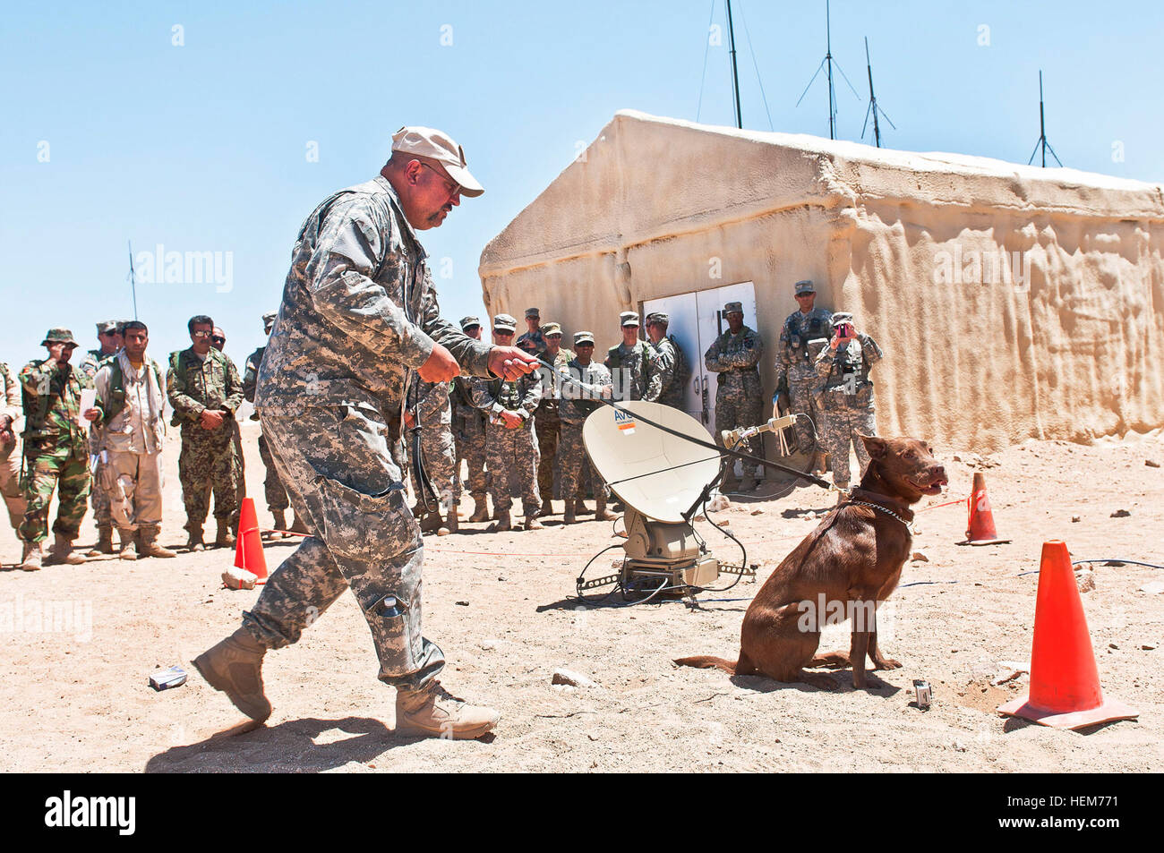 Tactical explosive detection dog platoon hi-res stock photography and images - Alamy
