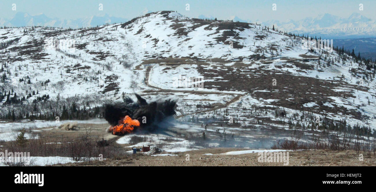 The 73rd Engineer Company from the 1st Stryker Brigade Combat Team