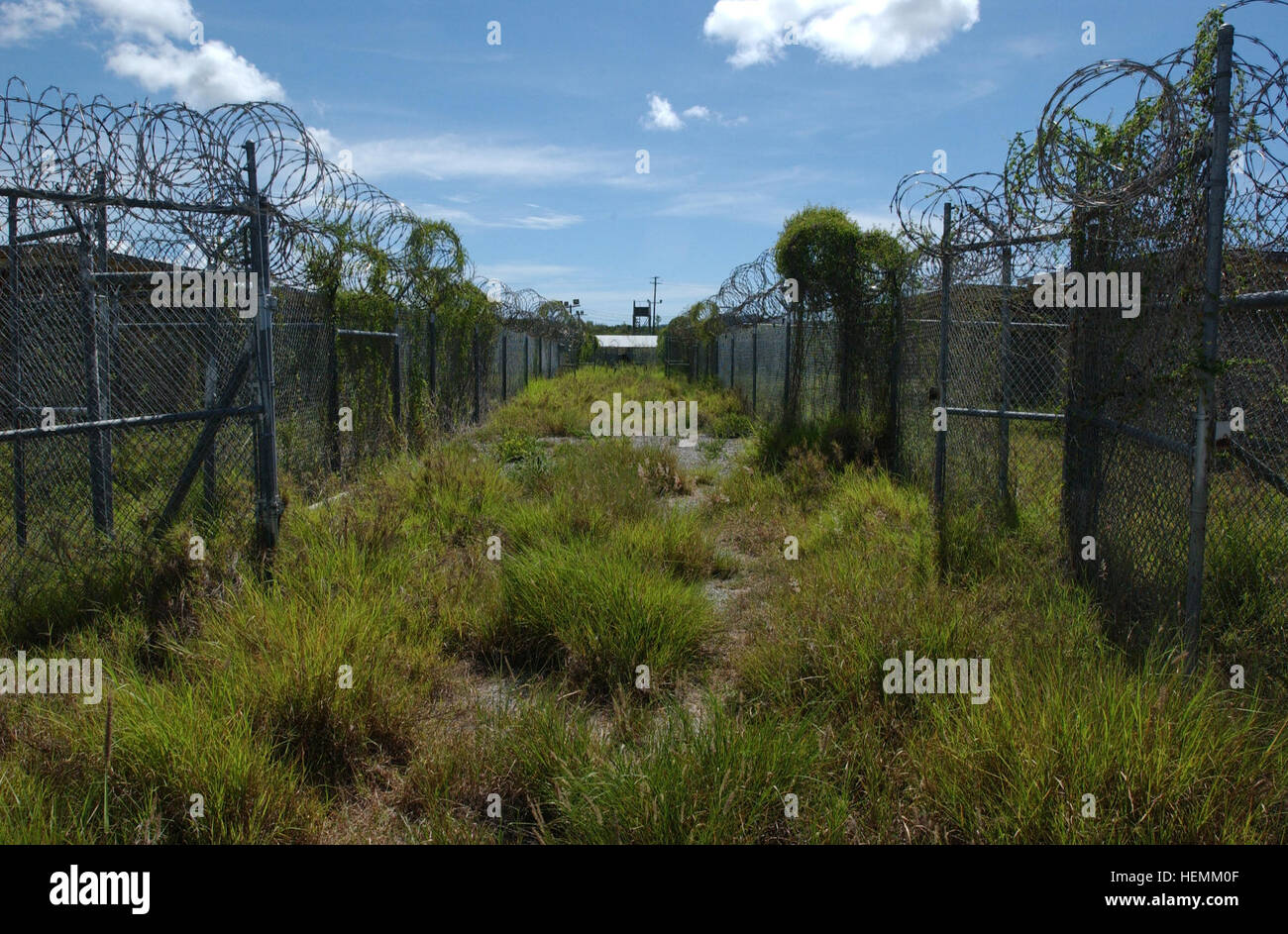 070830-A-8391C-035 GUANTANAMO BAY, Cuba – Photo of the main walkway through Camp X-Ray that consists of individual detainee cells on each side. Camp X-Ray was a part of Joint Task Force Guantanamo and has not been used since April 2002. Camp X-Ray was only used for four months while a more permanent detention facility could be built. (Joint Task Force Guantanamo photo by Army Capt. Kevin Cowan) Overgrown Camp XRay, Guantanamo, circa 2007 -a Stock Photo