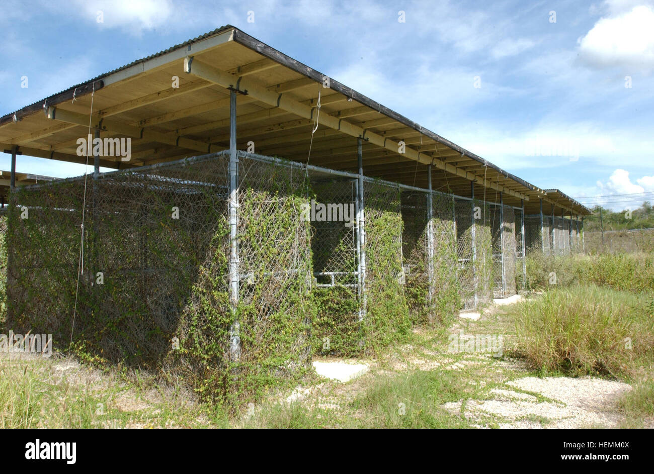 070830-A-8391C-038 GUANTANAMO BAY, Cuba – Individual detainee cells constructed with wooden frame overhangs located in Camp X-Ray. Camp X-Ray is a part of Joint Task Force Guantanamo and has not been used since April 2002.  Camp X-Ray was only used for four months while a more permanent detention facility could be built known as Camp Delta. (Joint Task Force Guantanamo photo by Army Capt. Kevin Cowan) Overgrown Camp XRay, Guantanamo, circa 2007 -e Stock Photo