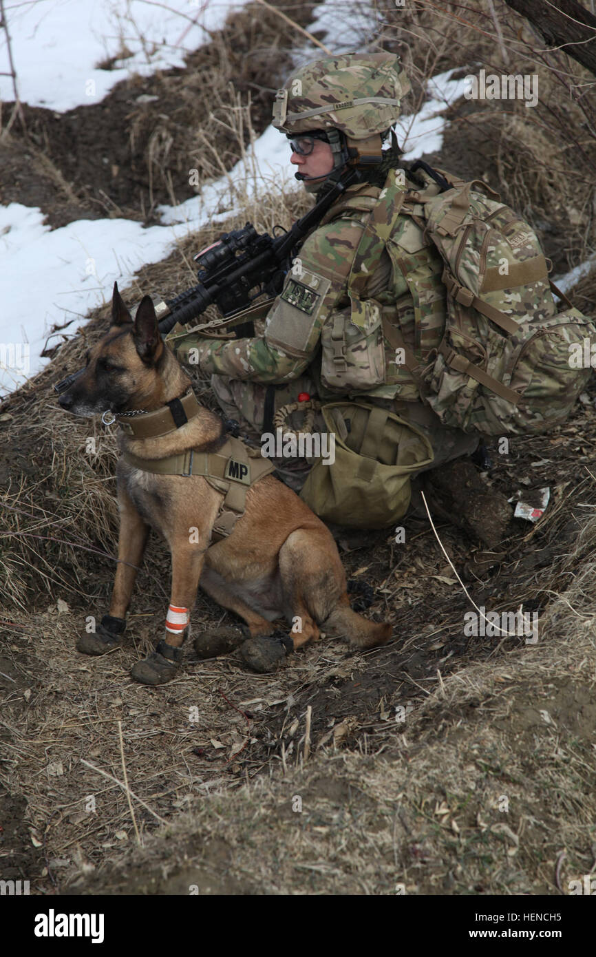 us army dog handler