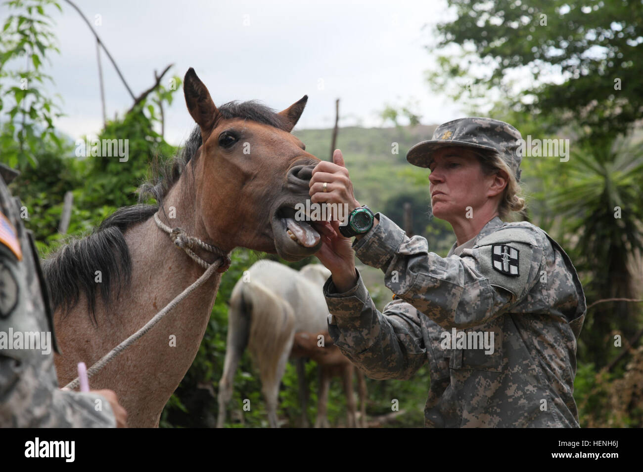 U.S. Army Maj. Victoria Smith, of the 149th Medical Detachment Veterinary Services, vaccinates a horse for a Veterinary Readiness Training Exercise during Beyond the Horizon, San Jose, Guatemala, May 25, 2014. Beyond the Horizon is an annual exercise that embraces the partnership between the United States and Guatemala, to provide focused humanitarian assistance through various medical, dental, and civic action programs. (U.S. Army photo by Pfc. Christopher Martin/Released) Beyond the Horizon 2014, Guatemala 140525-A-GA303-006 Stock Photo