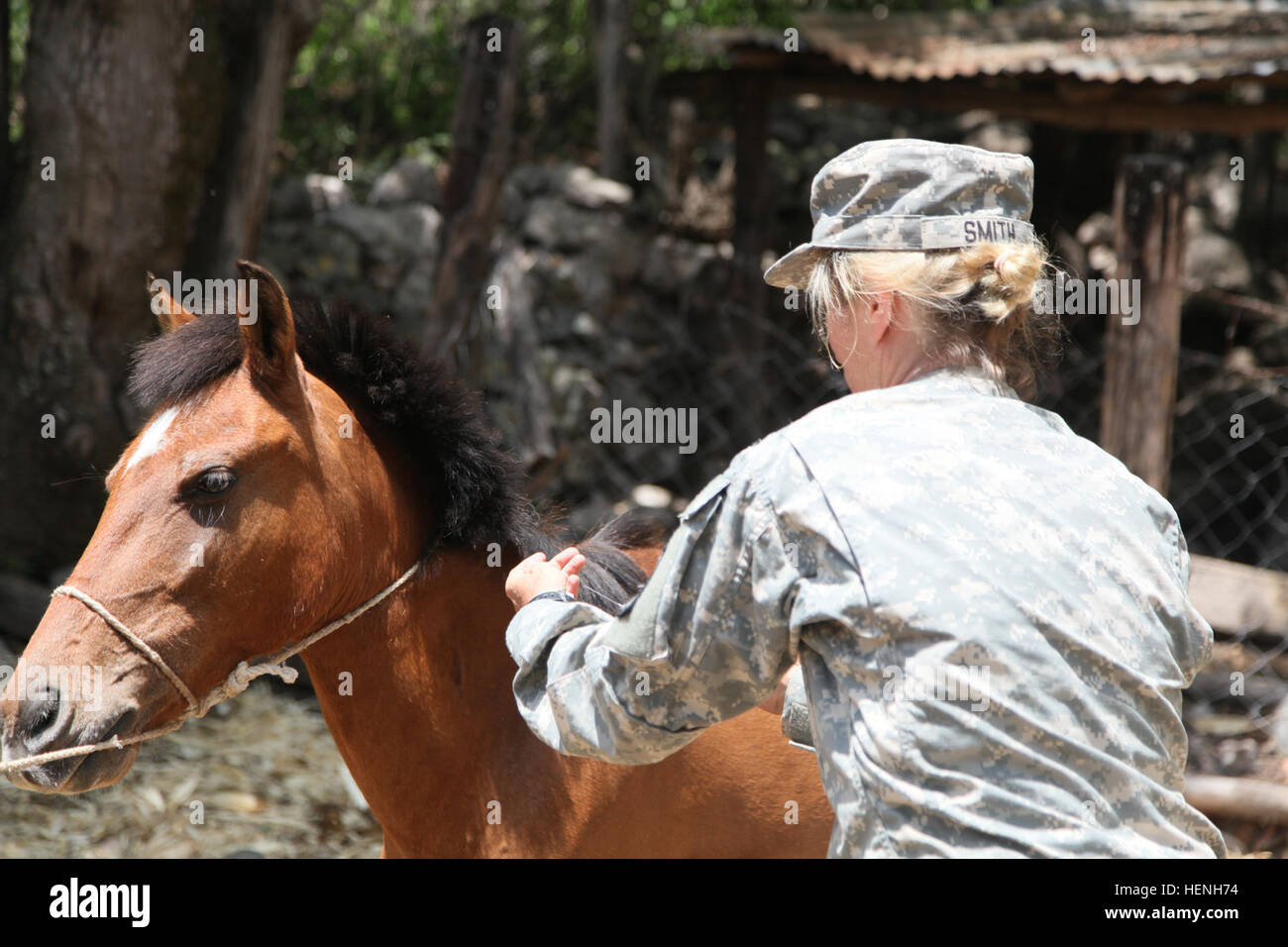 U.S. Army Maj. Victoria Smith, of the 149th Medical Detachment Veterinary Services, vaccinates a horse for a Veterinary Readiness Training Exercise during Beyond the Horizon, San Jose, Guatemala, May 25, 2015. Beyond the Horizon is an annual exercise that embraces the partnership between the United States and Guatemala, to provide focused humanitarian assistance through various medical, dental, and civic action programs. (U.S. Army photo by Pfc. Christopher Martin/Released) Beyond the Horizon 2014, Guatemala 140525-A-GA303-061 Stock Photo