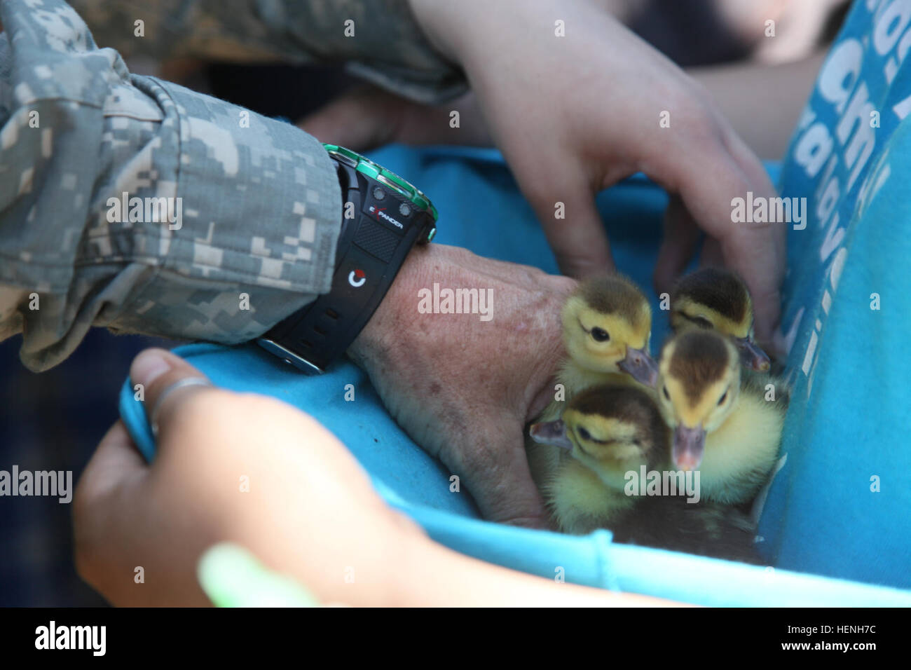 U.S. Army Maj. Victoria Smith, of the 149th Medical Detachment Veterinary Services, vaccinates ducklings for a Veterinary Readiness Training Exercise during Beyond the Horizon, San Jose, Guatemala, May 25, 2015. Beyond the Horizon is an annual exercise that embraces the partnership between the United States and Guatemala, to provide focused humanitarian assistance through various medical, dental, and civic action programs. (U.S. Army photo by Pfc. Christopher Martin/Released) Beyond the Horizon 2014, Guatemala 140525-A-GA303-093 Stock Photo