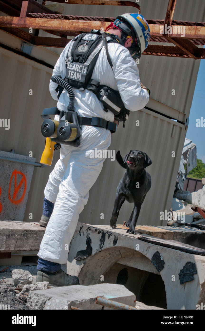 Simulated Rubble A service dog from Ohio Task Force 1 and its handler search radioactive ...