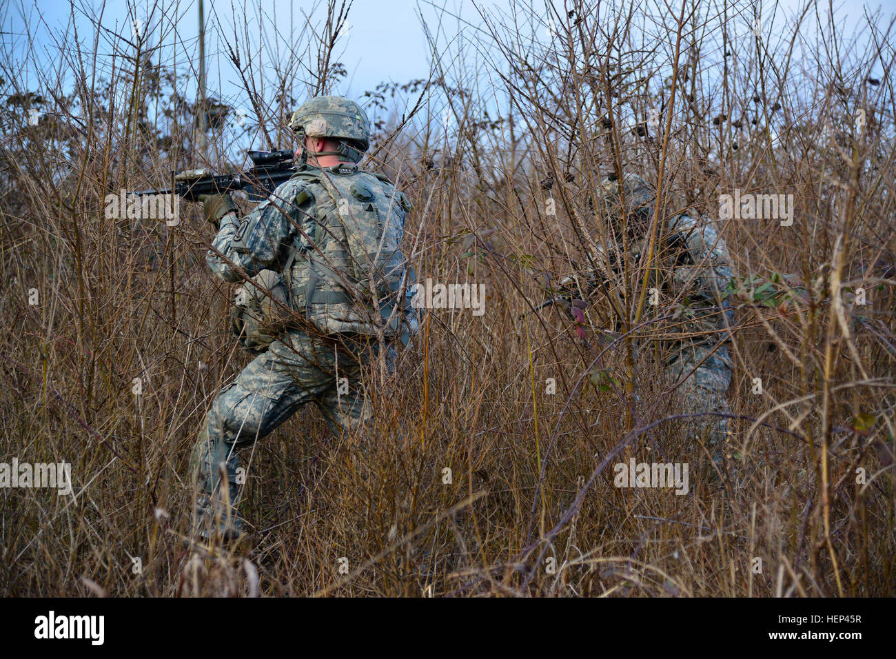 U.S. Army paratroopers from Company C, 1st Battalion, 503rd Infantry Regiment, 173rd Airborne Brigade, move through vegetation Feb. 4, 2015, during training at Longare Complex, Vicenza, Italy. The 173rd Airborne is the Army’s Contingency Response Force in Europe, capable of rapidly projecting forces in Europe, Africa and the Middle East. (U.S. Army image by Visual Information Specialist Paolo Bovo/Released) 173rd Airborne Brigade day and night patrolling at Longare Complex 150204-A-JM436-124 Stock Photo