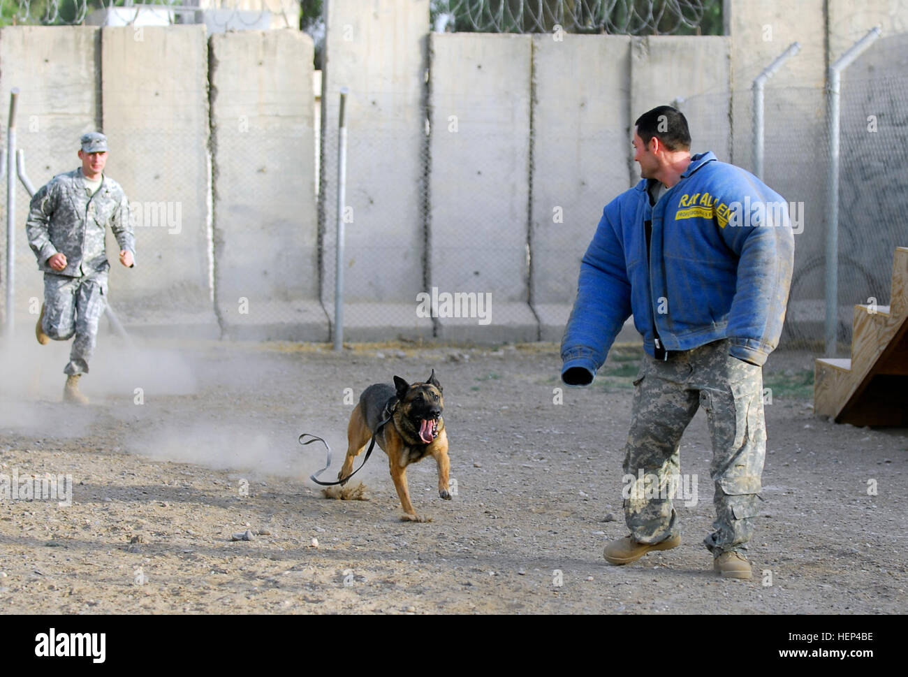 In the blue bite training jacket, dog handler Staff Sgt. Aaron Kimes, with 67th Engineer Canine Company from Fort Leonard Wood, Mo., simulates a runaway as Staff Sgt. Bronco, a patrol and explosives detection dog, and his handler, Sgt. Daniel Fulton, with 148th Military Police Detachment from Fort Carson, Colo., train together to be mission ready. This training takes place daily during the mornings and evenings at Forward Operating Base Diamondback located in Mosul, Iraq, June 24. (U.S Army photo by Spc. Karla P RodriguezMaciel, 11th Public Affairs Detachment) Selected service members work wit Stock Photo