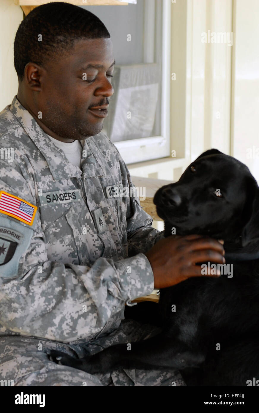 Philadelphia native Sgt. Duane Sanders, an occupational therapist with 528th Medical Detachment out of Fort Bragg, N.C., looks down at his buddy, Sgt 1st Class Budge, an animal assisted therapy dog in Mosul, Iraq. Sanders and Budge have made it a habit to visit a different unit on Forward Operating Bases Marez and Diamondback every morning so that Soldiers in that unit get a chance to meet and play with Budge. (U.S Army photo by Spc. Karla P RodriguezMaciel, 11th Public Affairs Detachment) Budge, stress reliever, dog in disguise 100540 Stock Photo