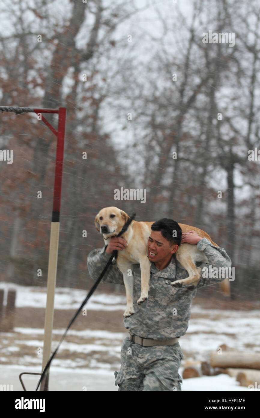 With the wind and snow blowing in his face, Mitch, a specialized search dog, gets a ride from his handler, Spc. Edrian Fernandez, with 67th Eng. Det., 5th Eng. Bn., 4th MEB, 1st Inf. Div., as part of the physical endurance course during the joint branch “Top Dog” competition held at Fort Leonard Wood, Mo., Feb. 23-26. (Photo by Staff Sgt. Kelly S. Malone) 4th MEB units compete for Top Dog honors 150226-A-KX047-001 Stock Photo