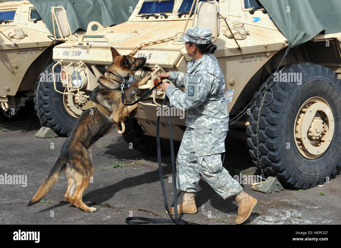 Sgt. Veronica Pruhs and K-9, Jerry, a patrol drug detector dog team ...