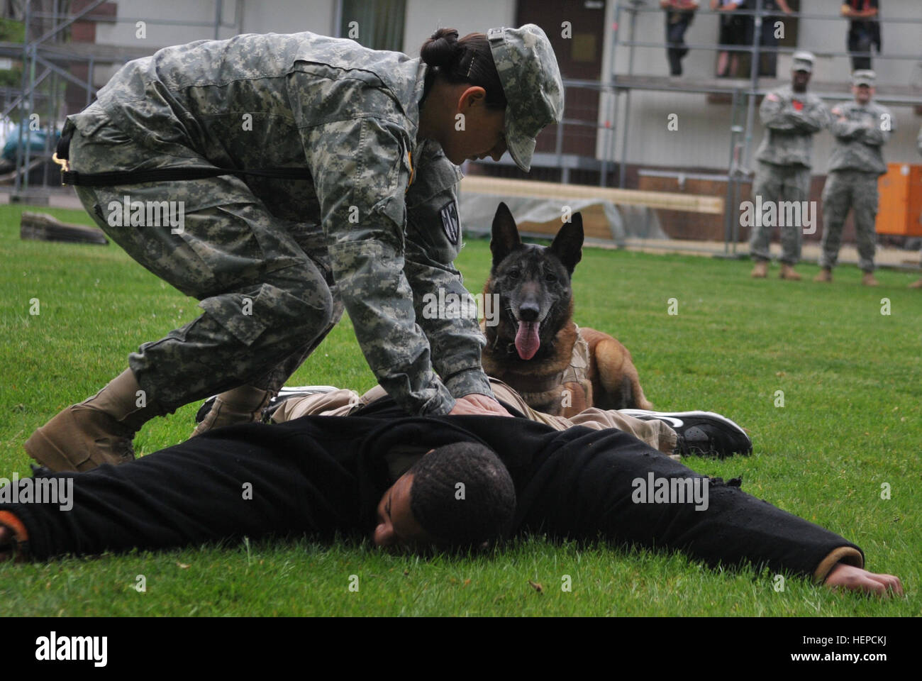 Valerie, a trained military dog, stands down receiving orders from Pfc