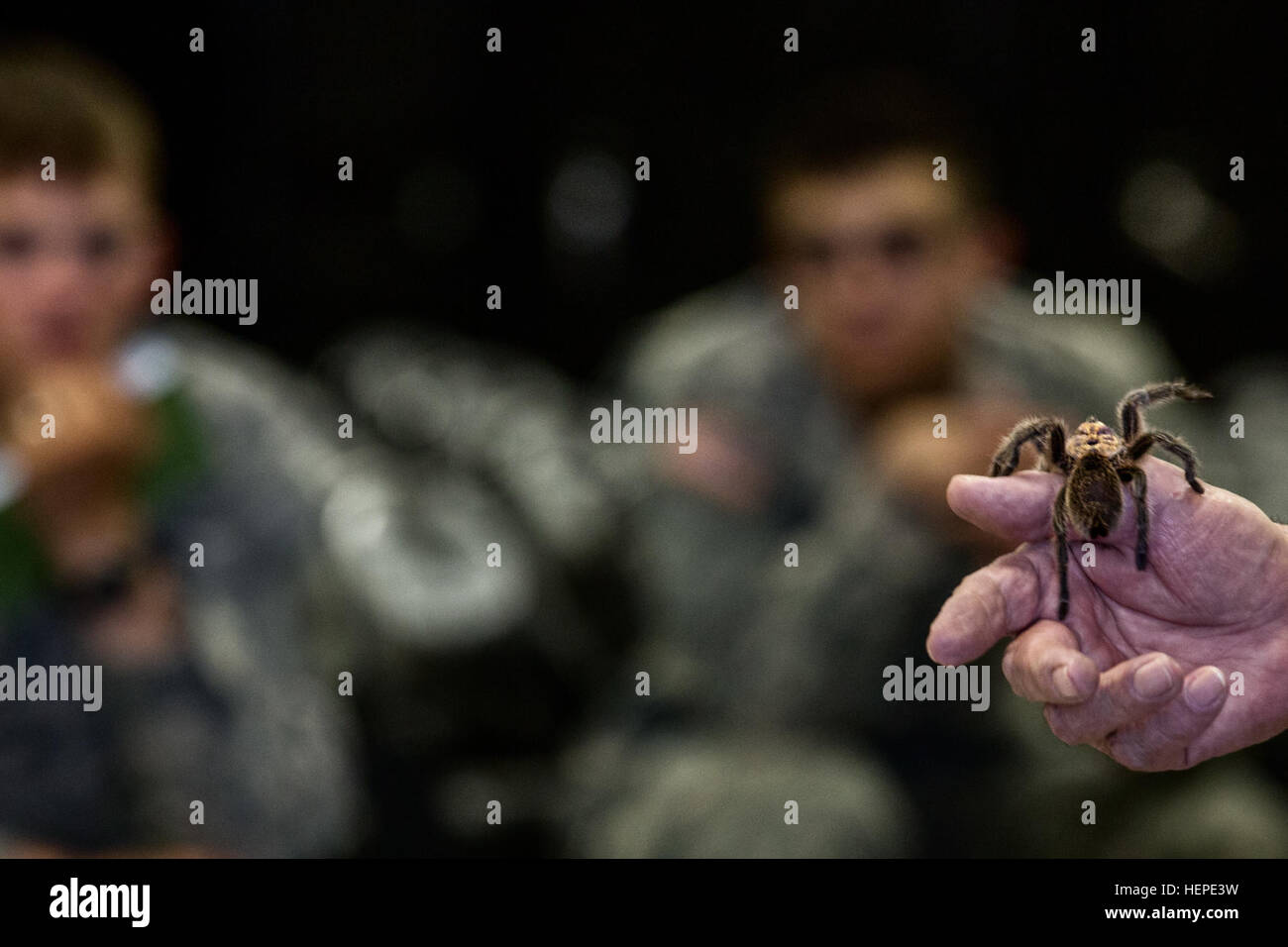 Students of the inaugural Desert Warrior course observe a Tarantula during a Chihuahuan animal and plant life brief at Fort Bliss, Texas, June 4, 2015. Desert Warrior is the Army’s newest leadership school spearheaded by the Iron Training Detachment, 1st Armored Division. It is the Army’s first purely desert course since the desert phase of Ranger School discontinued it in 1995. (U.S. Army photo by: Sgt. Marcus Fichtl) Desert Warrior, Army's newest school 150604-A-TW035-414 Stock Photo