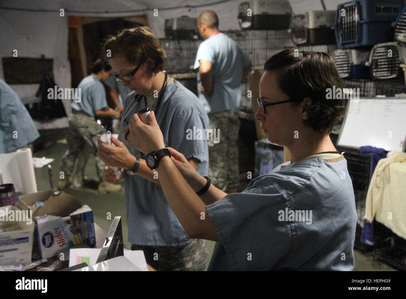 Capt. Kimberly Jordan, right, a veterinary preventive medicine officer with the 169th Medical Detachment Veterinary Services out of Fort Gordon, Ga. and Capt. Rachel Hathorn, a field veterinary service officer with the 358th Medical Brigade out of Montgomery, Ala., prepare medications that will be administered to animals prior to surgery at Greater Chenango Cares July 15, 2015. Greater Chenango Cares is one of many Innovative Readiness Training missions designed to provide real-world training in a joint civil-military environment while delivering world-class medical care to the citizens of Che Stock Photo