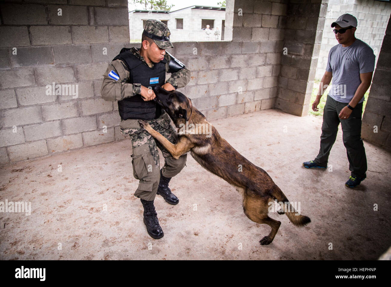 Spc. Rolando Rojas (right) observes as a Honduran soldier trains with his working dog.  Rojas is with the San Antonio-based 1st Battalion, 141st Infantry Regiment, which is conducting the training to enhance the Honduran Army’s ability to counter transnational organized crime (CTOC). 36th Infantry Division Soldiers of the Texas Army National Guard are spending four months in Central America creating a knowledgeable and trained force that is able to detect, disrupt and detain illicit trafficking across the region. (U.S. Army photo by Maj. Randall Stillinger) Task Force Alamo trains Honduran Arm Stock Photo