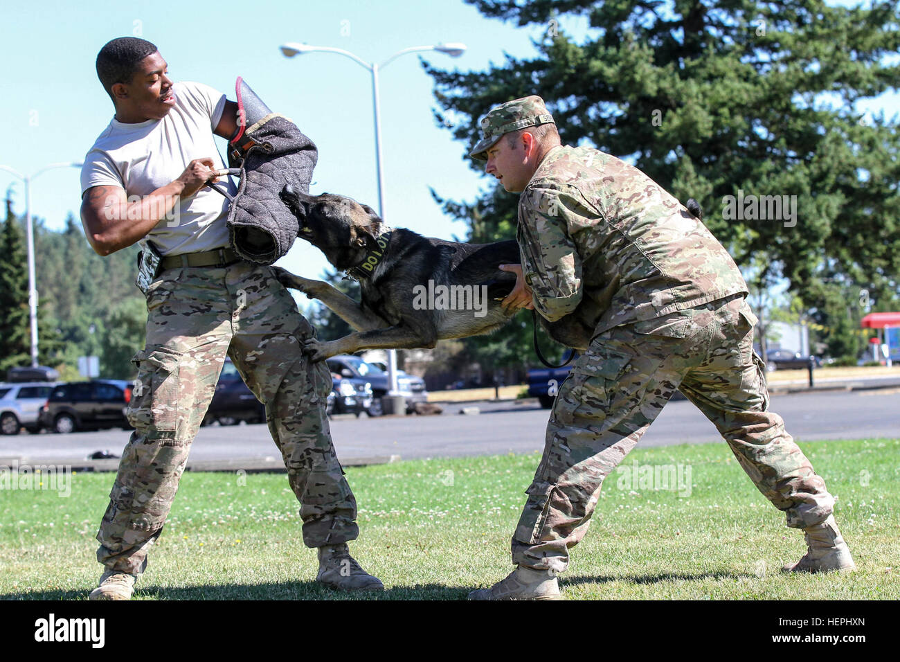 504th mp battalion hi-res stock photography and images - Alamy