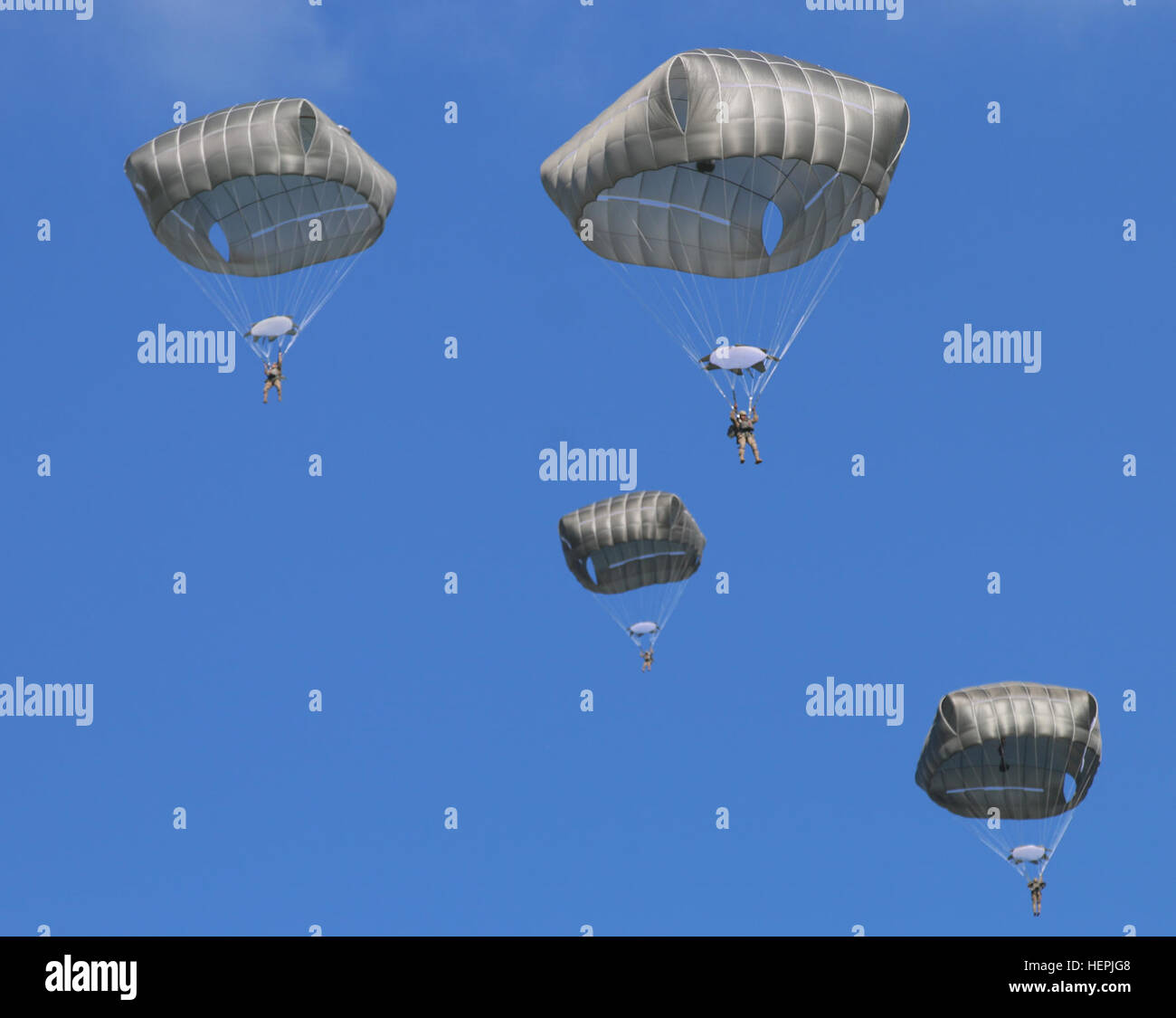 Soldiers assigned to Destined Company, 2nd Battalion, 503rd Infantry