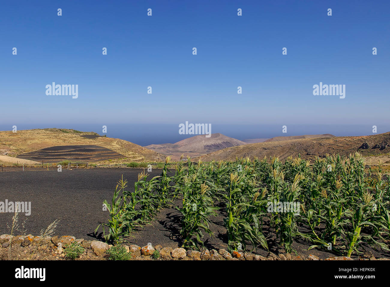 View of the Atlantic ocean and horizon while having a look over a beautiful landscape near Teguise, Lanzarote, Spain. Stock Photo
