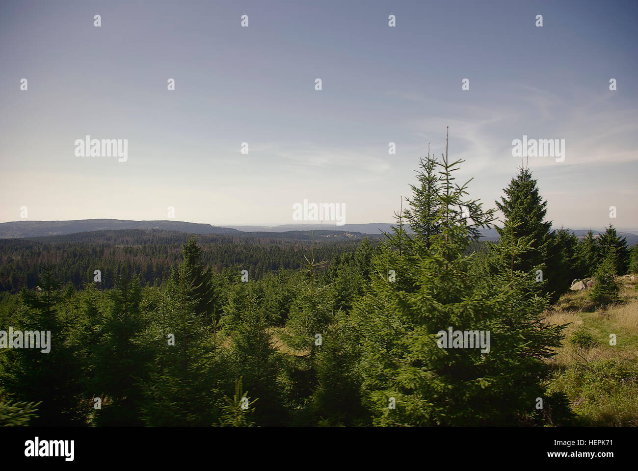 View over a small forest on top of the Harz Mountains near the Brocken, Saxony-Anhalt, Germany. Stock Photo