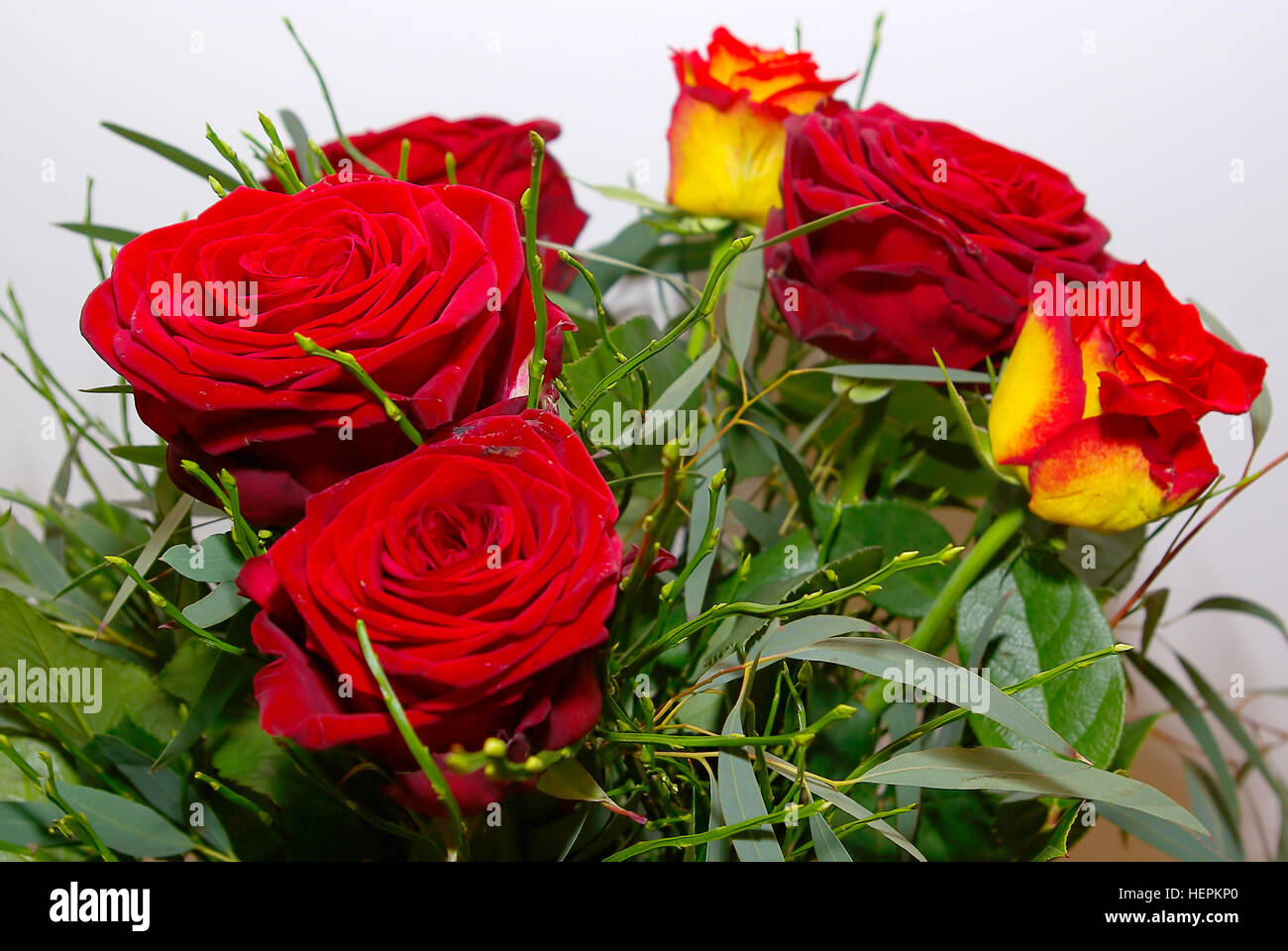Cut flowers, bouquet of red roses. Stock Photo