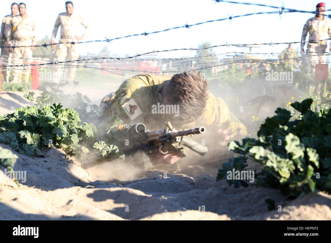 Australian crawl hi-res stock photography and images - Alamy