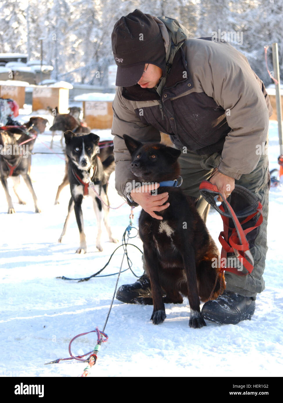 Alaska Army National Guard Staff Sgt. Harry Alexie prepares a dog for a