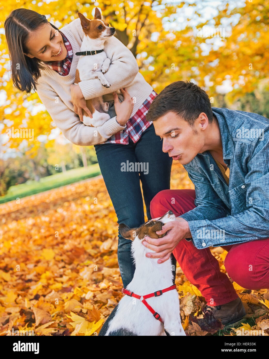 Young couple playing with dogs outdoors in autumn Stock Photo - Alamy