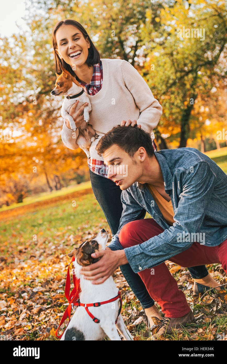 Happy young relaxed couple walking in autumn park and playing with dogs ...