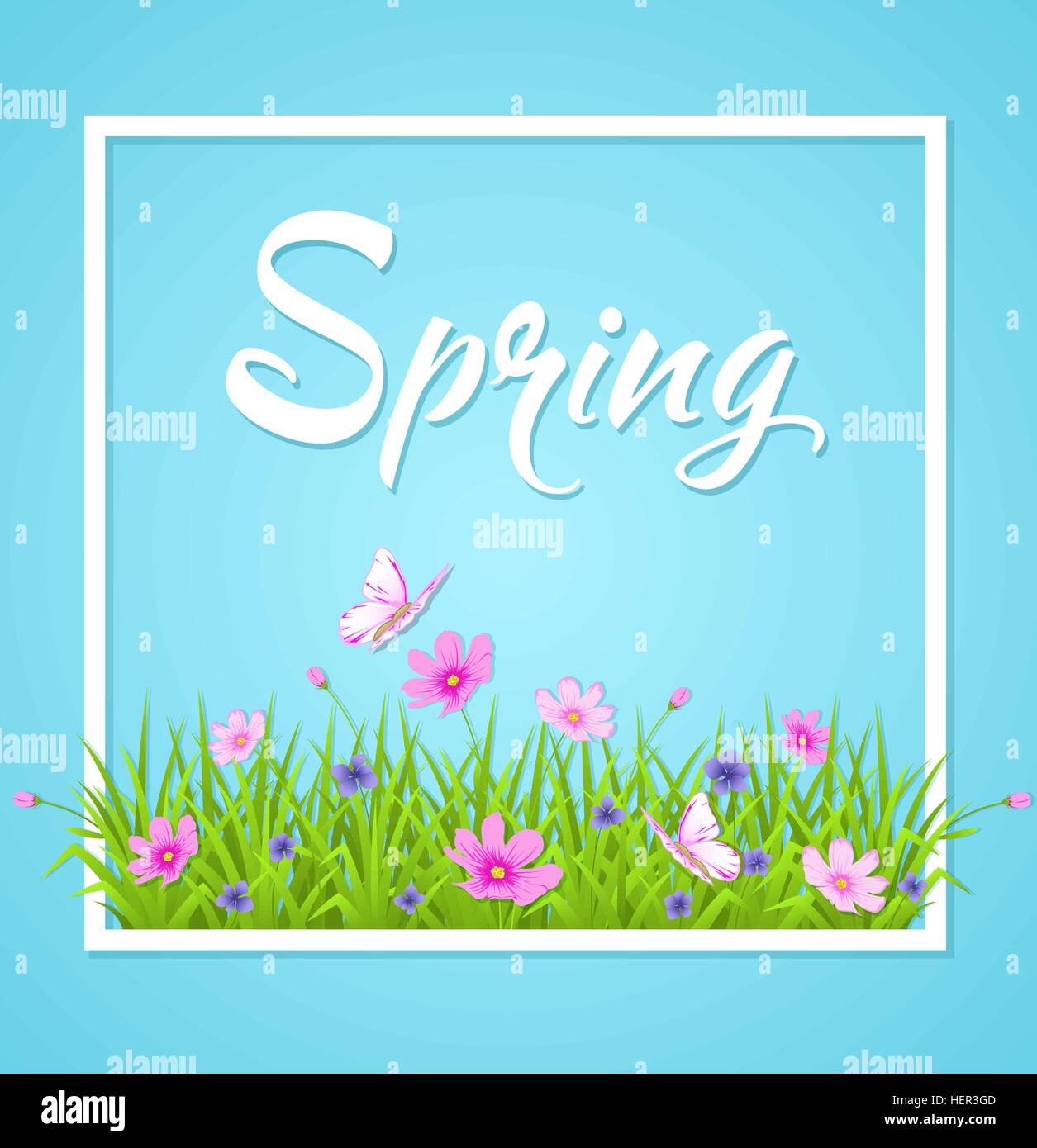 Spring Background Cosmo Blue spring background with green grass and cosmos flowers. Vector ...