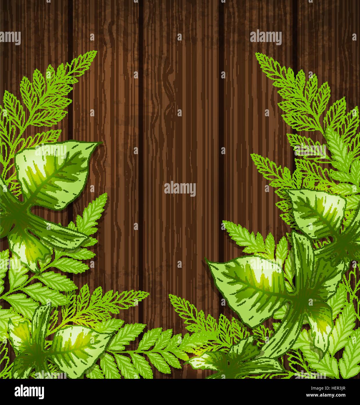 Summer background with green tropical leaves. Vector illustration Stock ...