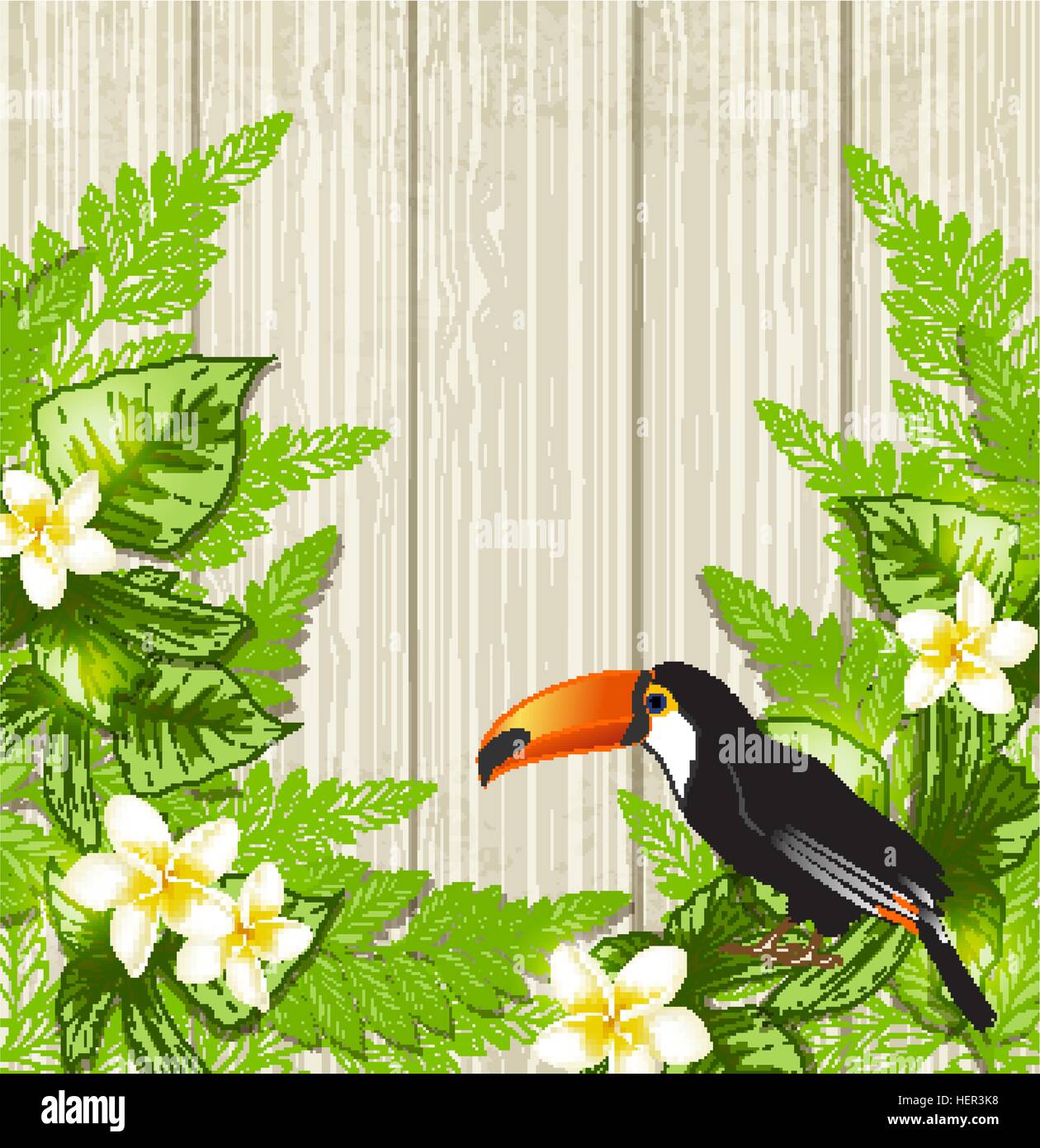 Summer background with tropical flowers and toucan. Vector illustration ...