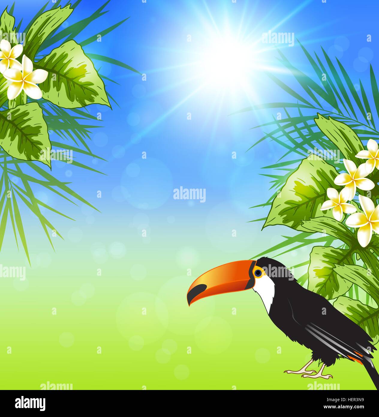 Summer background with green tropical leaves and toucan. Vector ...