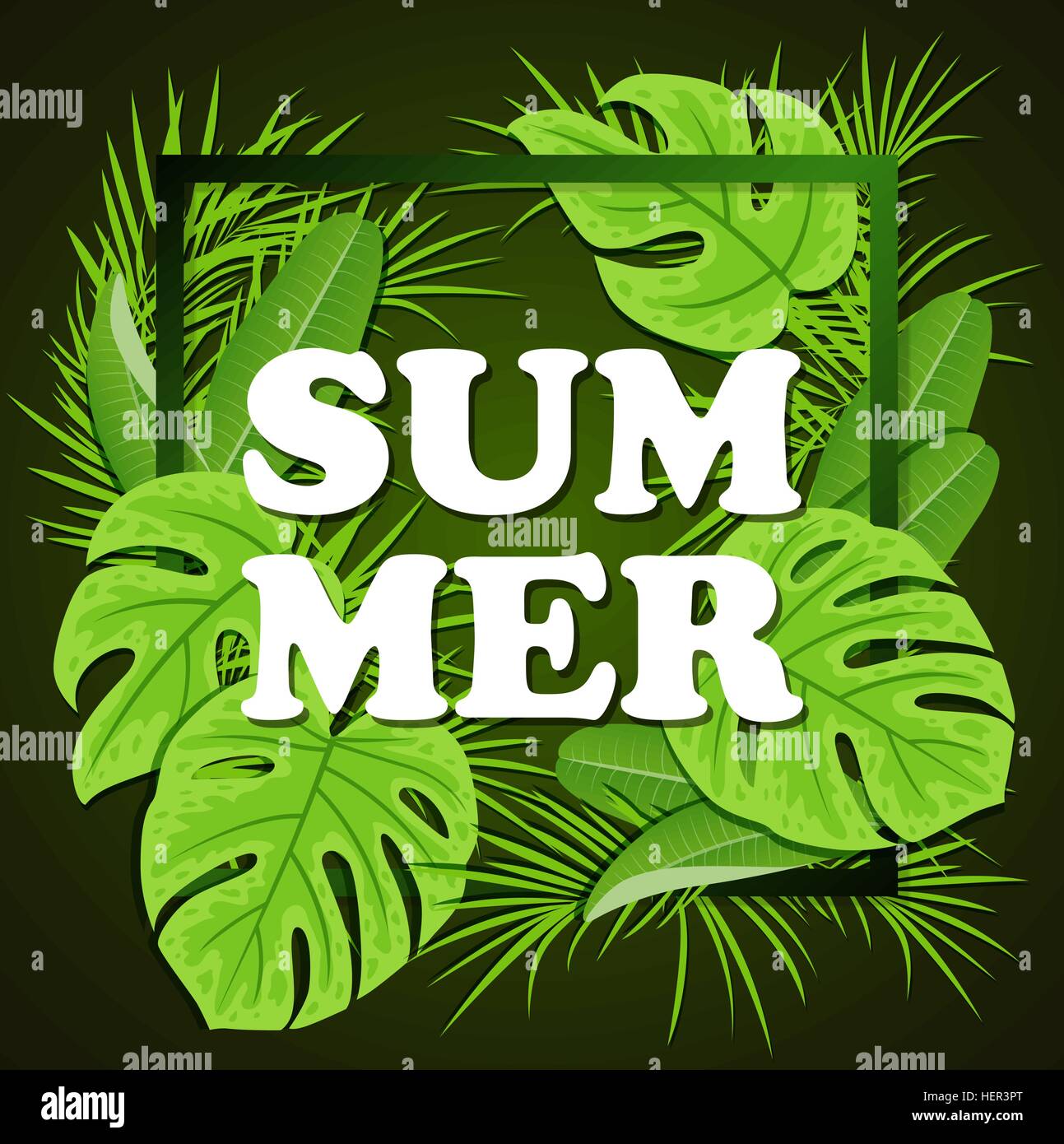 Green tropical leaves on a black background. Vector summer floral frame ...