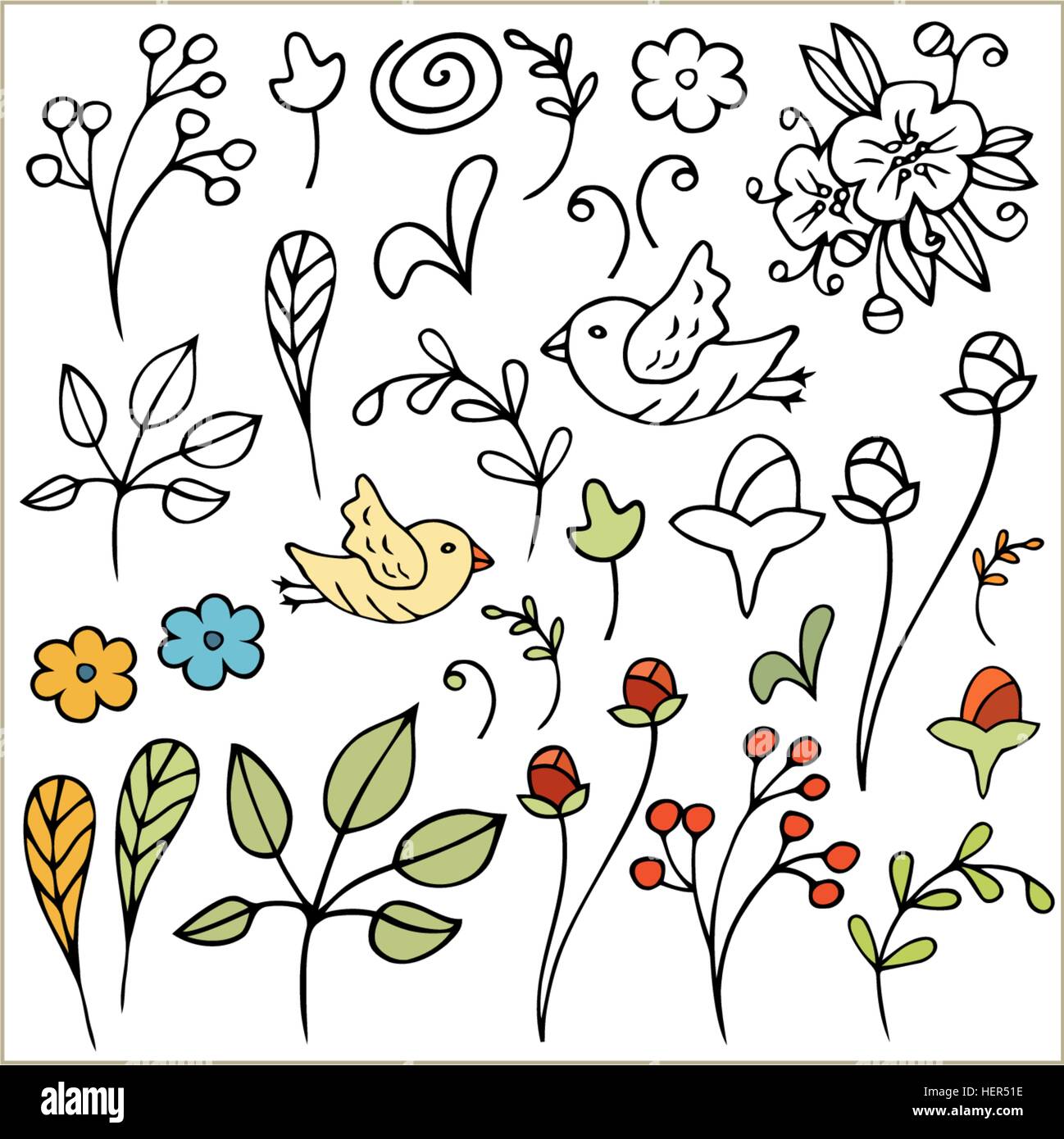 Hand drawn floral set. Isolated. Vector Stock Vector Image & Art - Alamy
