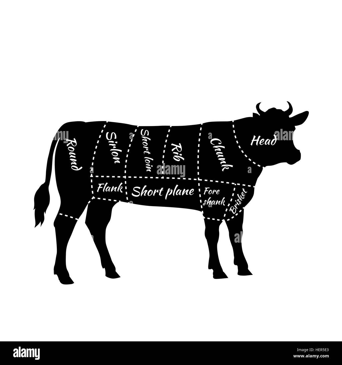 Scheme of Beef Cuts for Steak and Roast. American cuts of beef. Scheme of beef cuts for steak and roast. Butcher cuts scheme. Stock Vector