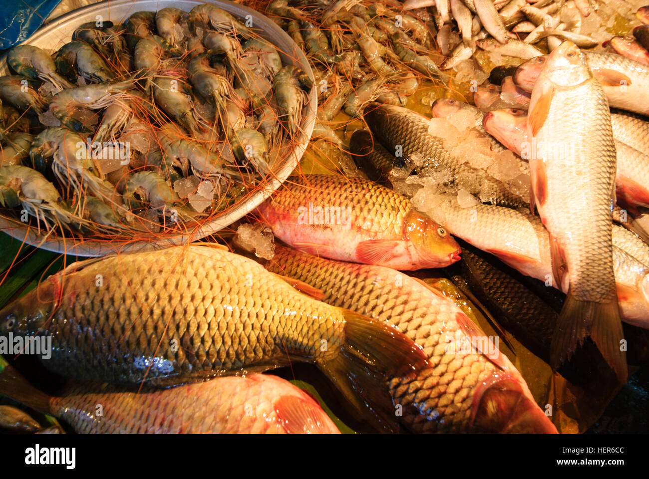 Chittagong: fish market, Chittagong Division, Bangladesh Stock Photo