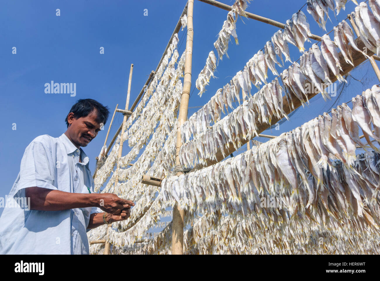 Fish drying rack hires stock photography and images Alamy