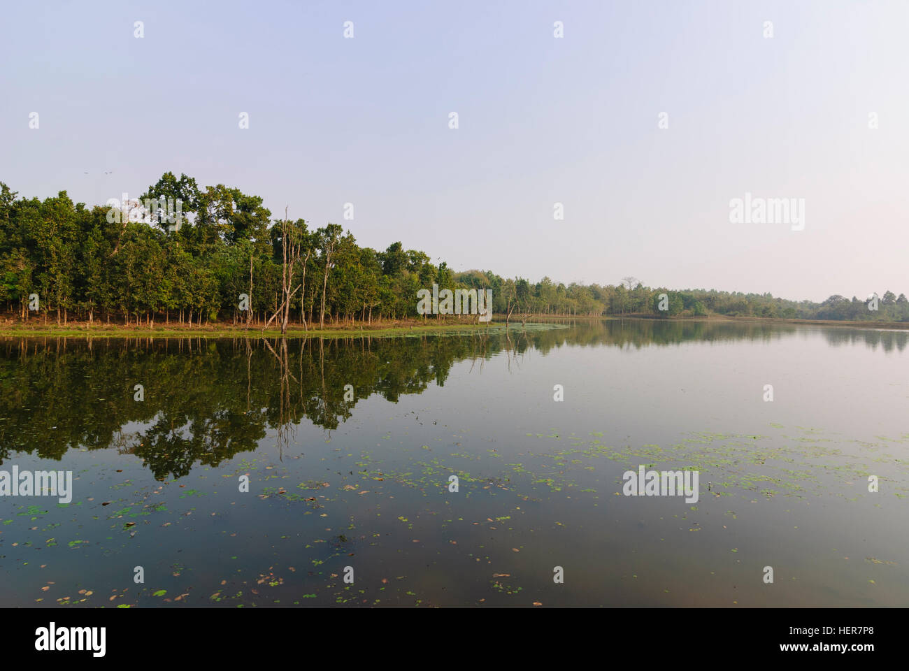 Sepahijala: Clouded Leopard National Park, lake, Tripura, India Stock