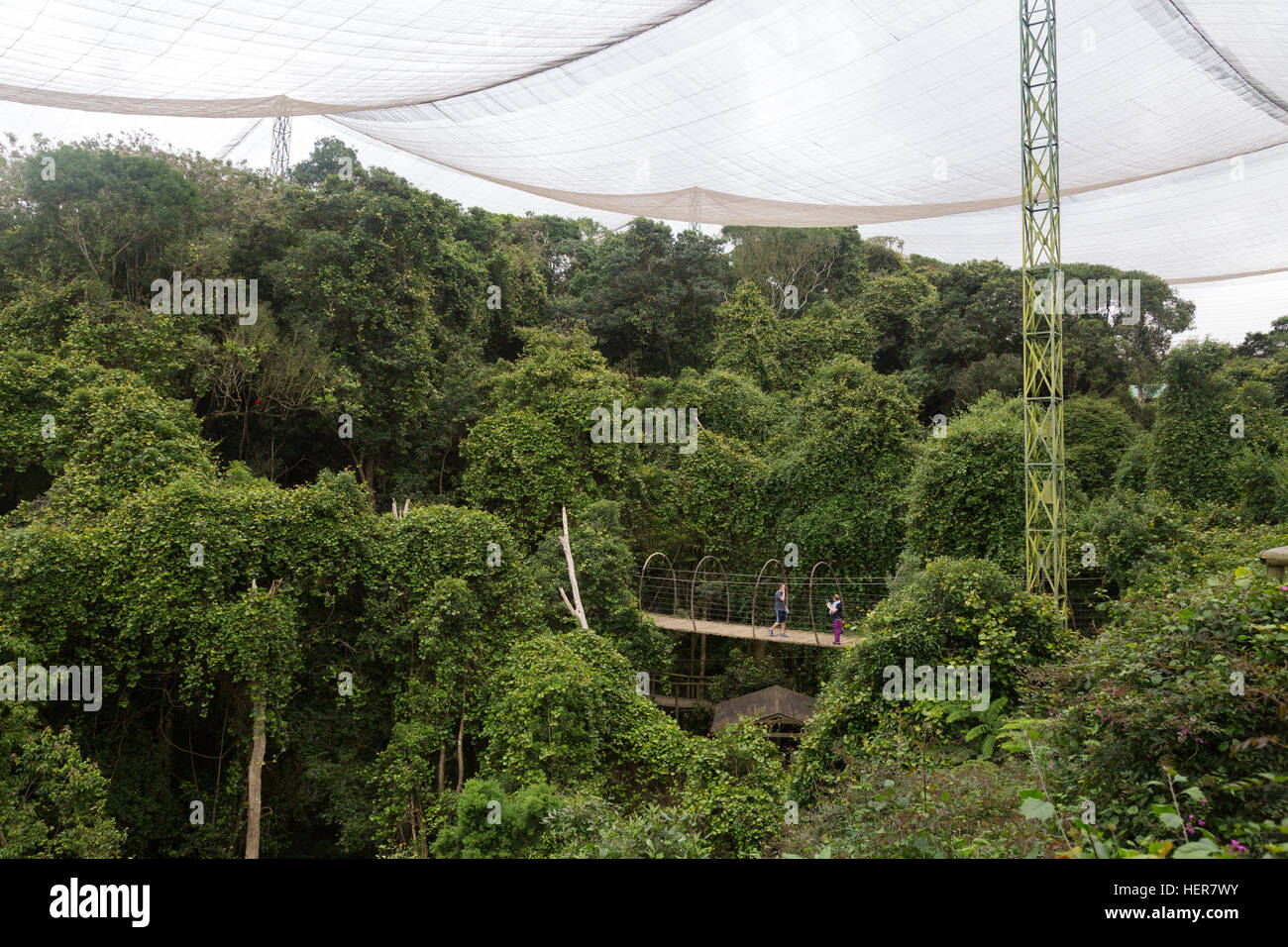 The Birds of Eden bird sanctuary, Plettenberg Bay, South Africa Stock Photo