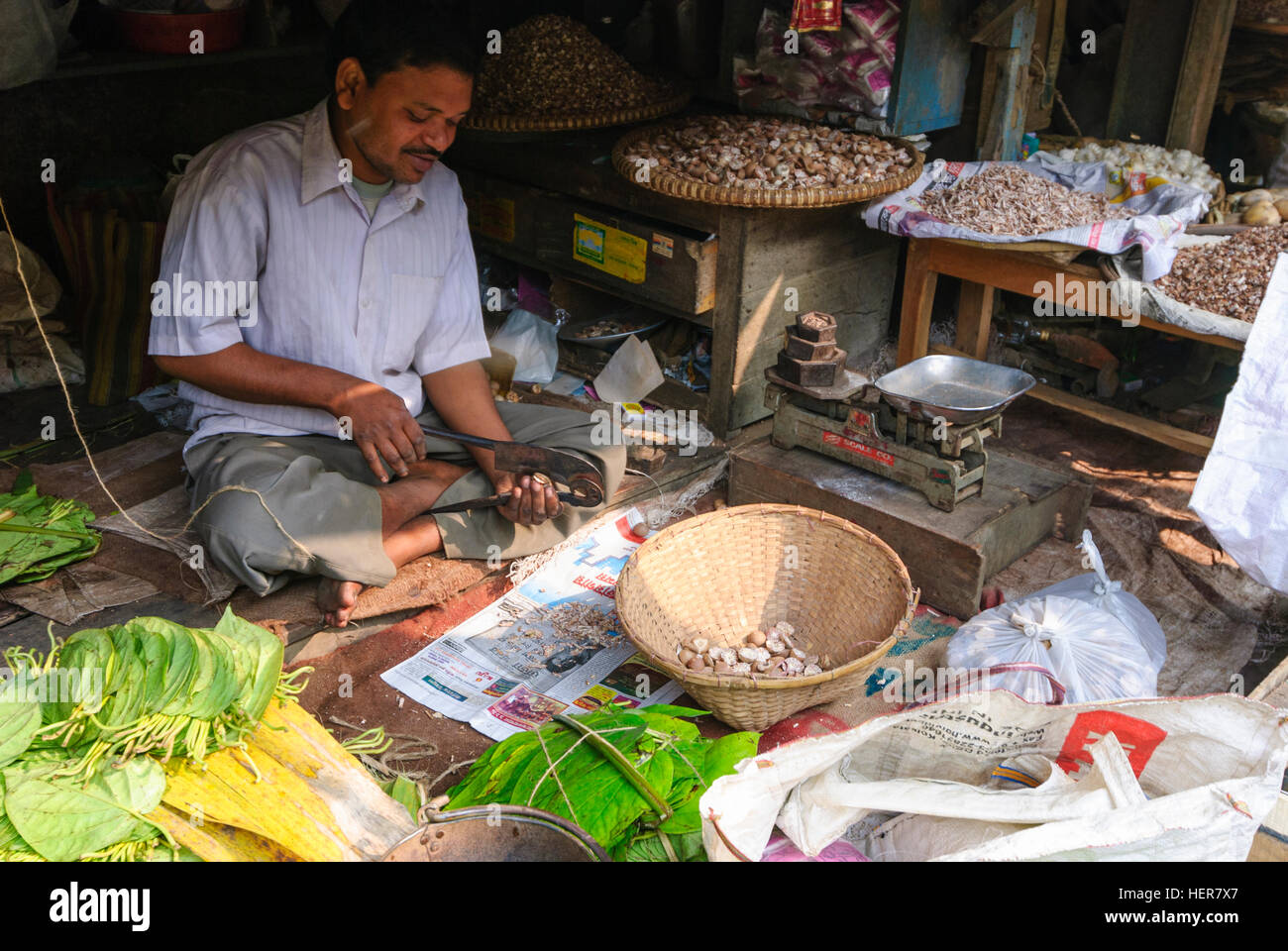 Agartala: Seller halves betel nuts, Tripura, India Stock Photo