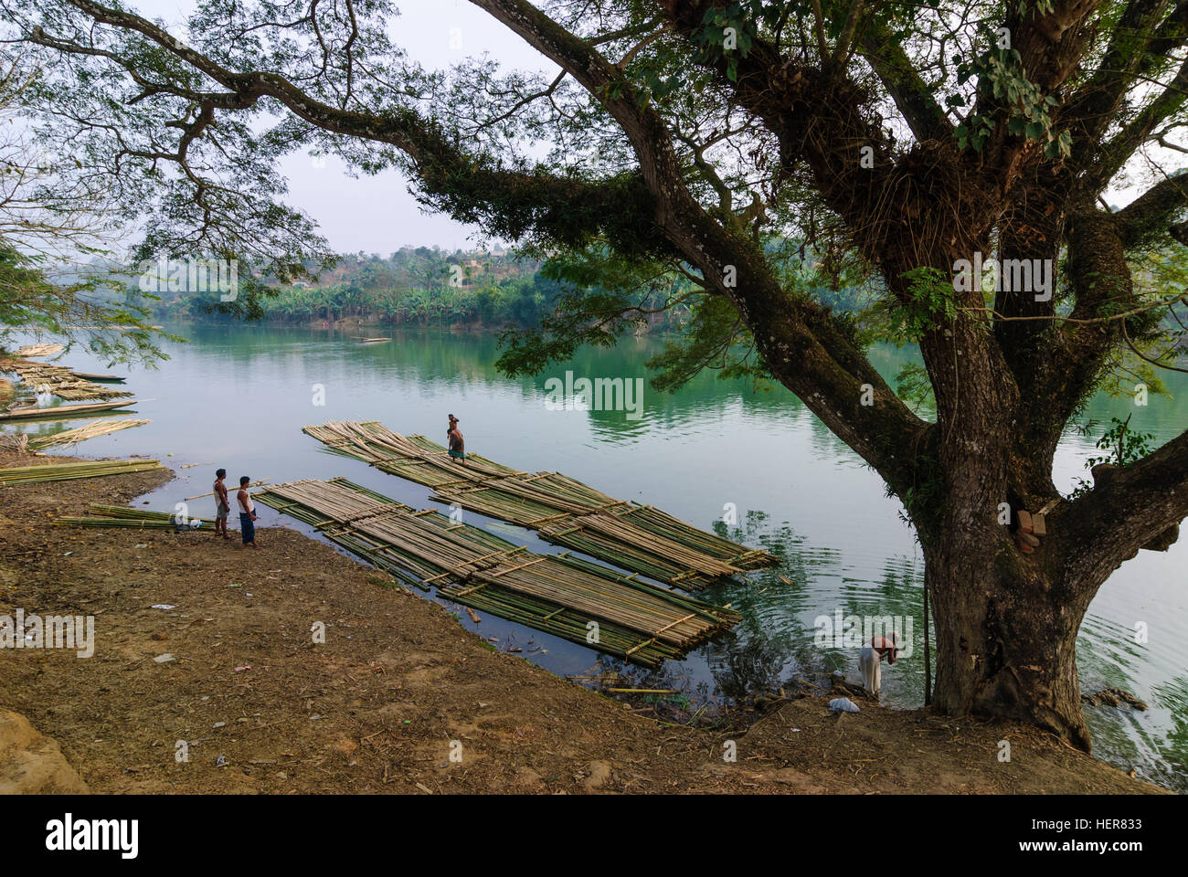 Ambasa: Bamboo rafts on a river, Tripura, India Stock Photo