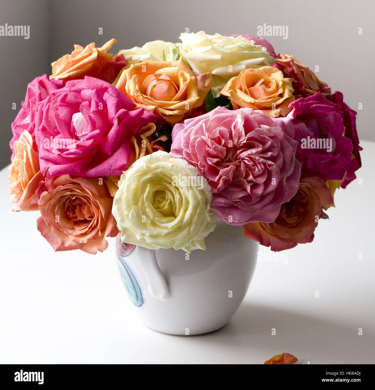 Coloured roses hi-res stock photography and images - Alamy