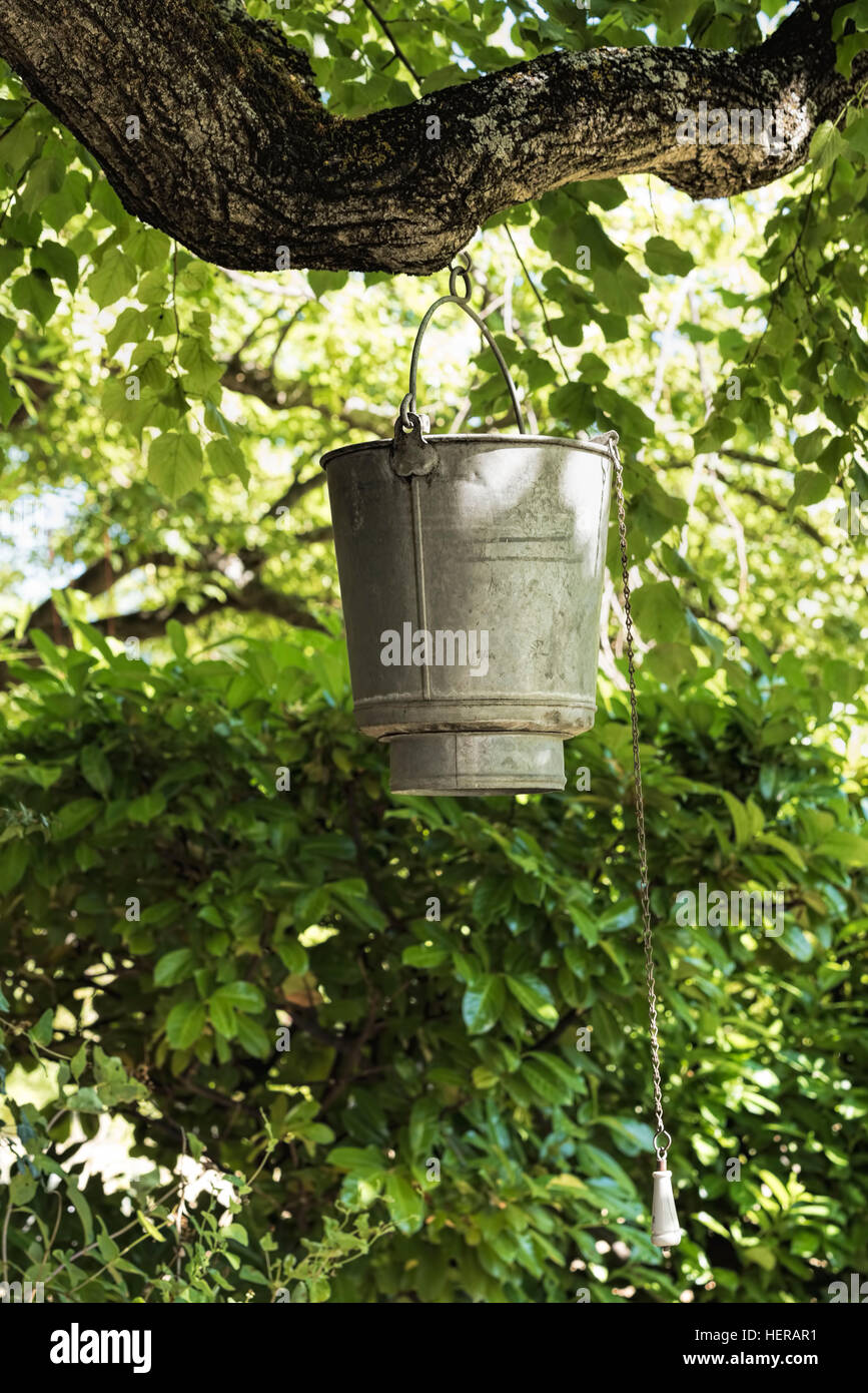 zinc bucket is hanging on an old chain in the tree Stock Photo - Alamy