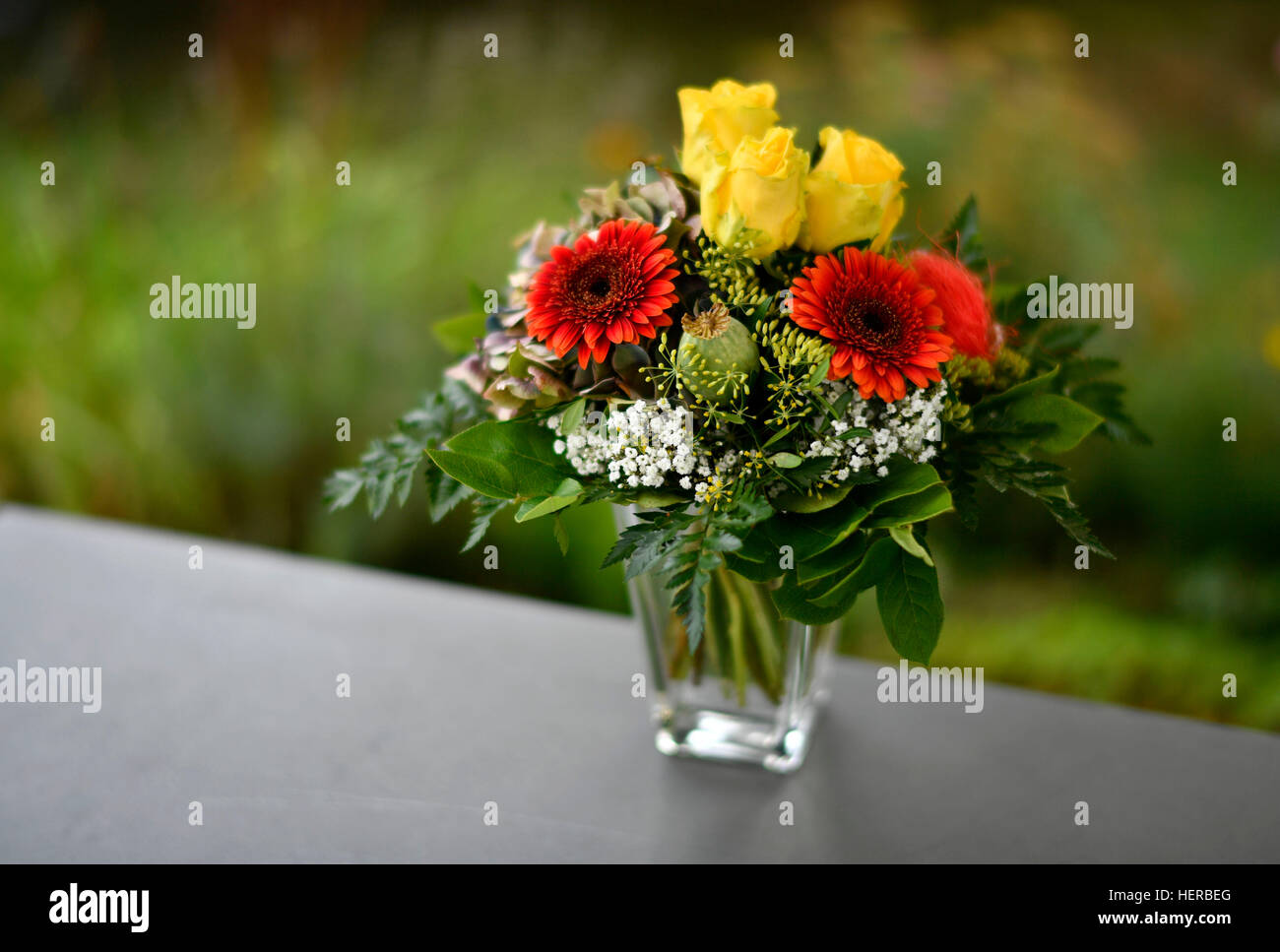 BlumenstrauÃŸ mit gelben Rosen (Rosa sp.) und roten Gerbera (Gerbera L.) steht in einer Blumenvase auf einem Tisch Stock Photo