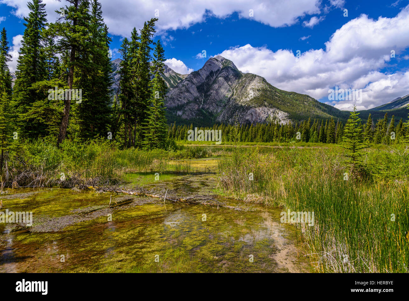 Canada, Alberta, Banff National Park, Banff, Cave and Basin National
