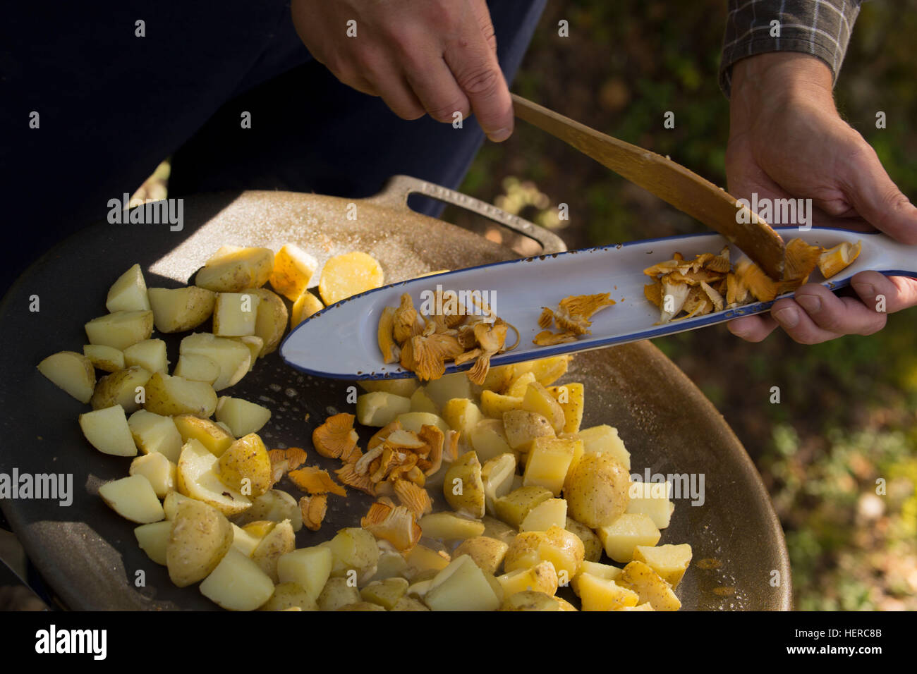 bbq,bowl,calories,chanterelle,Chanterelle Mushrooms,closeup,cooked,cooking,cook outdoors,crispy,deep,delicious,dinner,dish,eating,fast,fastfood,fast food,fat,Finland,food,french,fried,fry,gas grill,glass,gold,gourmet,grease,grill,hot,junk food,lunch,meal, Stock Photo