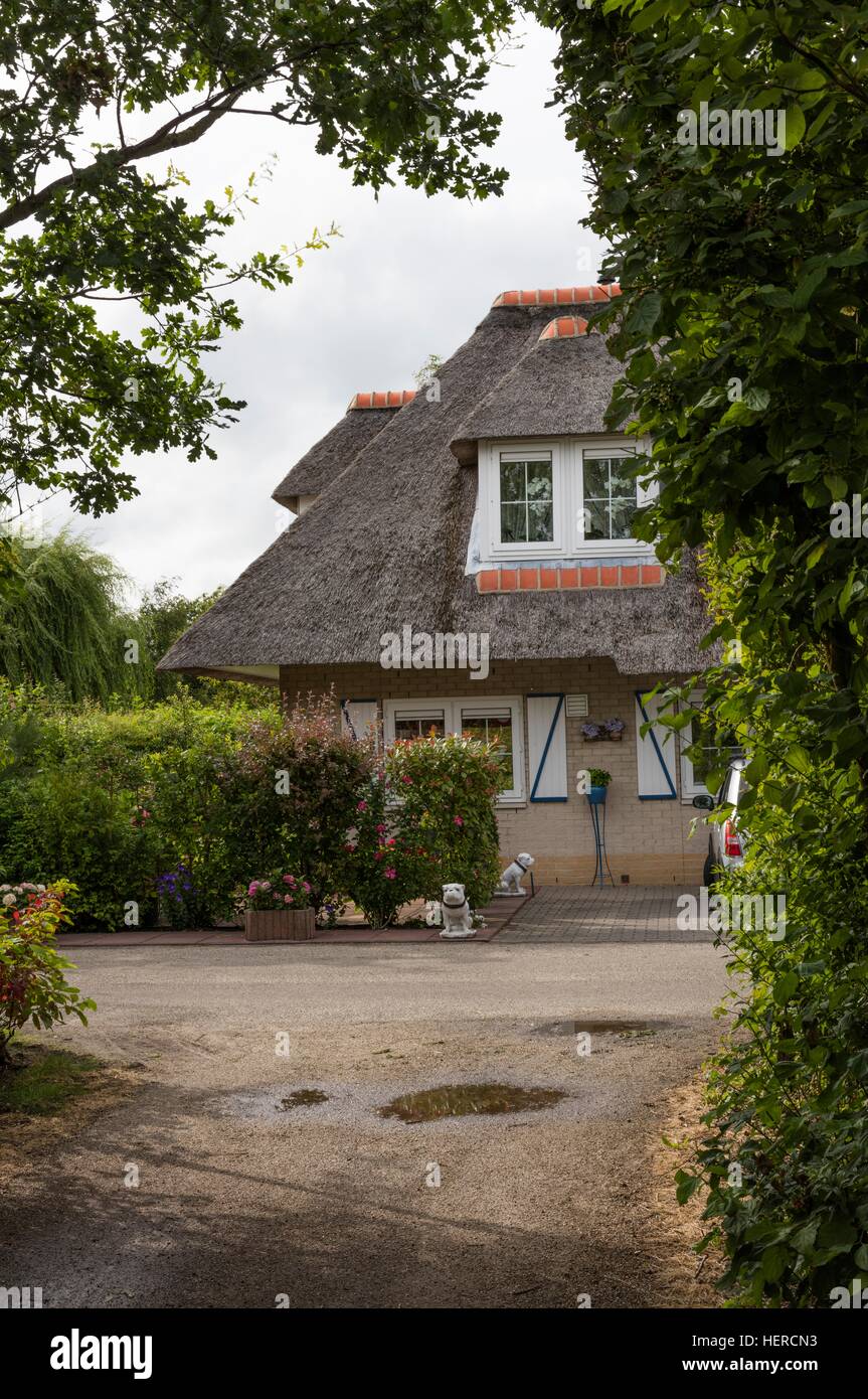 House With Thatched Roof Citta Romana Hellevoetsluis The - 