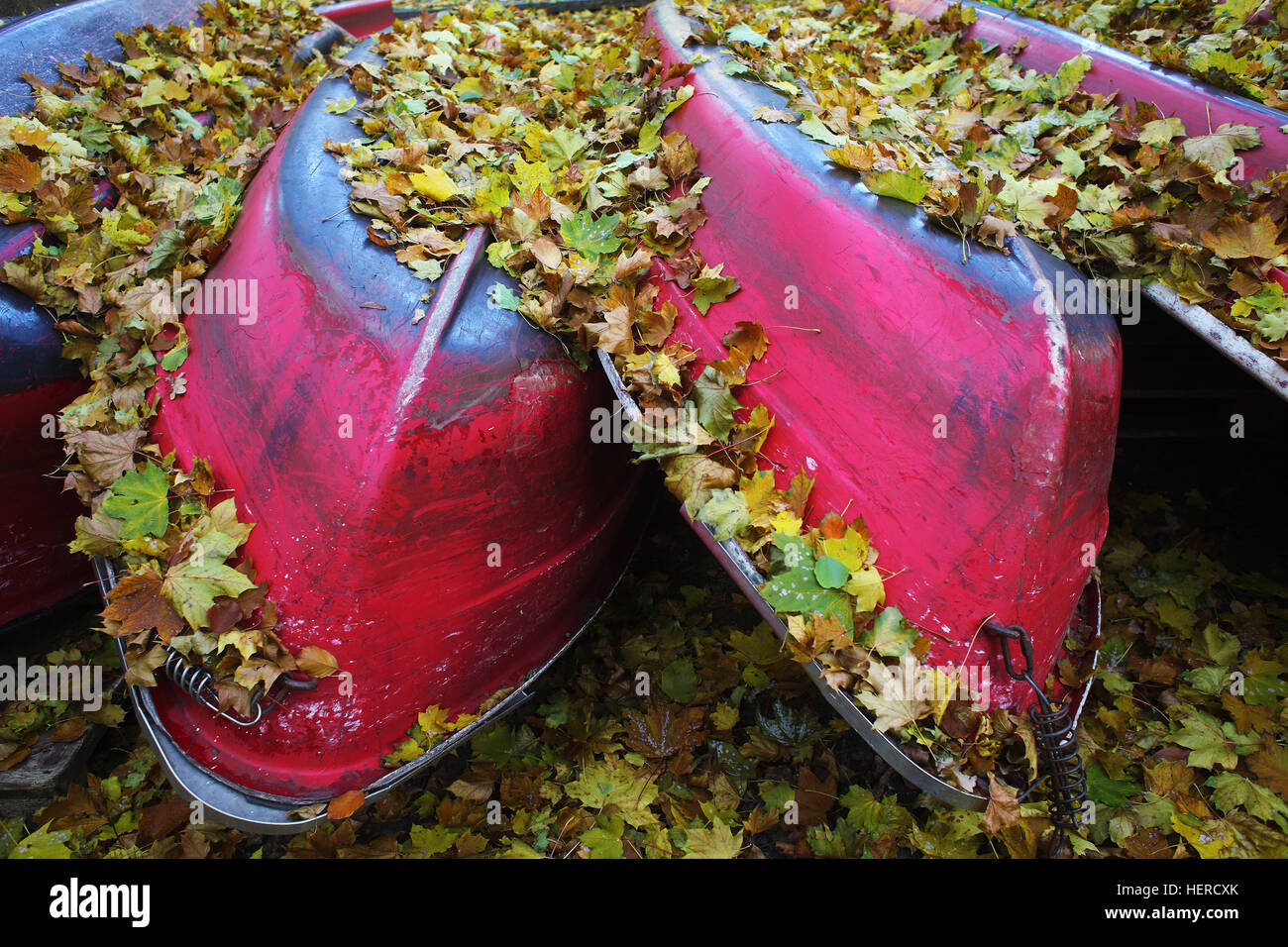 turned red rowboats in the Tiergarten, Berlin Stock Photo